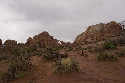 Arches National Park