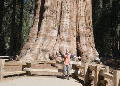 General Sherman - Sequoia National Park