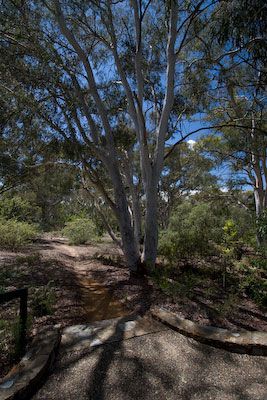 Botanic Garden