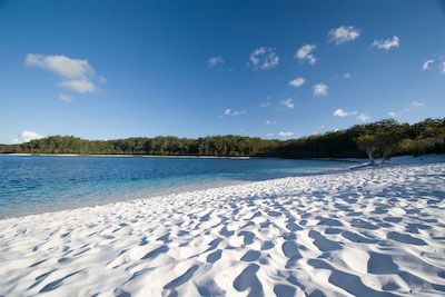 Fraser Island - Lake McKenzie