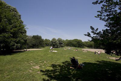 Central Park in NY