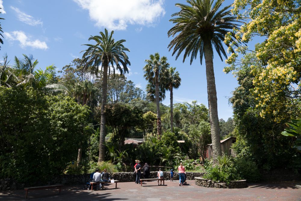 Wandelpad in Auckland Zoo