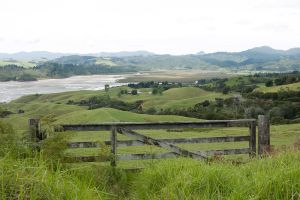 Uitzicht vanaf weg naar Coromandel