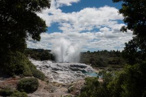 Geisers Prince of Wales’ Feathers en Pohutu