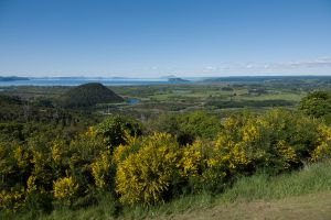 Taupo Lake