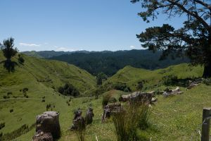 Uitzicht onderweg naar Whanganui