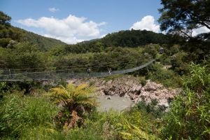 Buller Gorge swingbridge