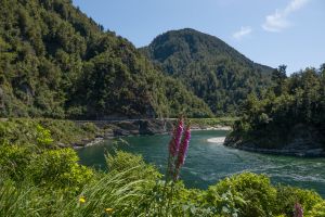 Buller Gorge Scenic Reserve