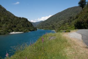 Buller Gorge Scenic Reserve