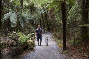 Hokitika Gorge