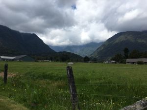 Uitzicht vanuit Fox Glacier