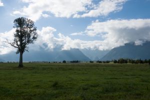 Fox Glacier vanuit Lake Matheson