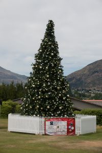 Kerstboom Wanaka