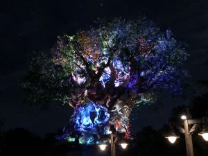 Tree of Life Awakenings