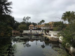 Mooi uitzicht vanaf een brug in Animal Kingdom