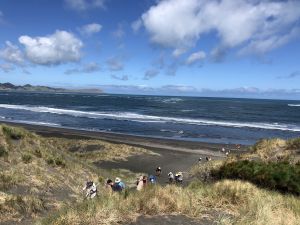 Kawhia beach