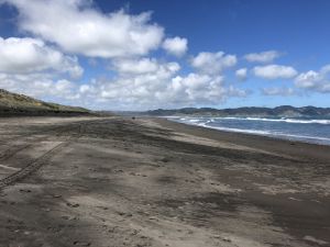 Het zwarte lavazand van Kawhia beach