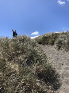 Hoge duinen bedwingen bij Kawhia beach