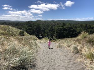 Heet zand in de duinen van Kawhia beach