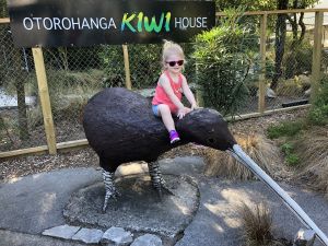 Kiwi House Otorohanga