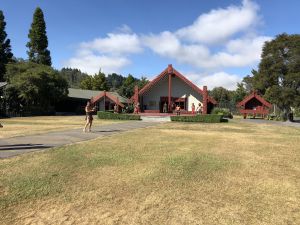 Ceremonie huis Maori in Te Puia