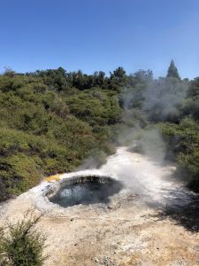 Hot Water Pool in Te Puia