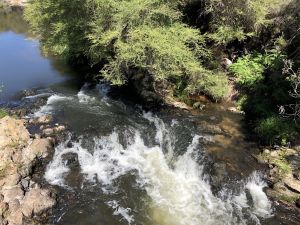 Onze eerste kleine waterval in Te Puia