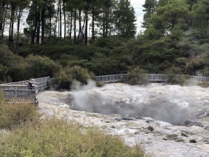 Wai-O-Tapu Devils inkpots