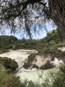 Wai-O-Tapu panoramic view