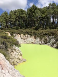 Wai-O-Tapu fel groen water