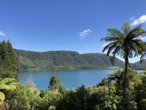 Blue Lake (Tikitapu)