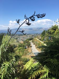 Stoeltjeslift bij Skyline Rotorua