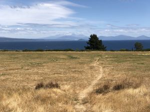 Uitzicht over Lake Taupo met bergen aan de andere kant