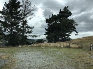 Parkeerplaats WhiteCliff Boulders