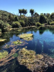 Te Waikoropupu Springs