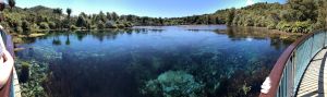 Te Waikoropupu Springs