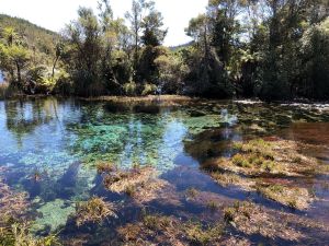 Te Waikoropupu Springs