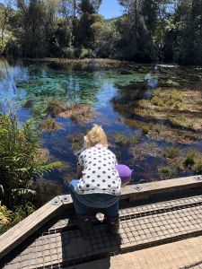 Te Waikoropupu Springs