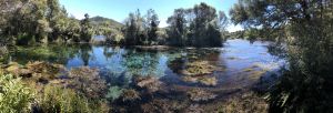 Te Waikoropupu Springs