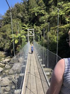 Bark Bay Falls swing bridge