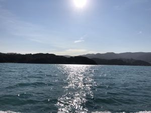 Ondergaande zon Abel Tasman Park