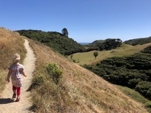 Wandelen naar Wharariki Beach