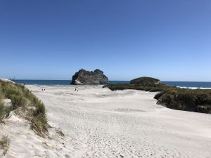 De duinen van Wharariki Beach