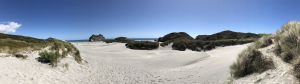 Duinen van Wharariki Beach