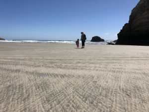 Wharariki Beach