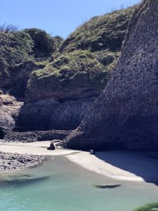 Zeehonden op Wharariki Beach