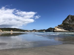 Wharariki Beach