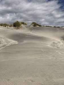 Duinen van Wharariki Beach