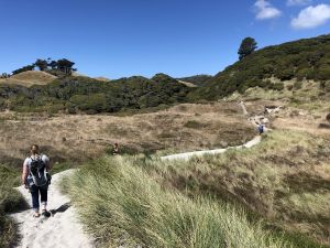 Teruglopen vanaf Wharariki Beach