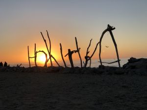 Hokitika beachsign